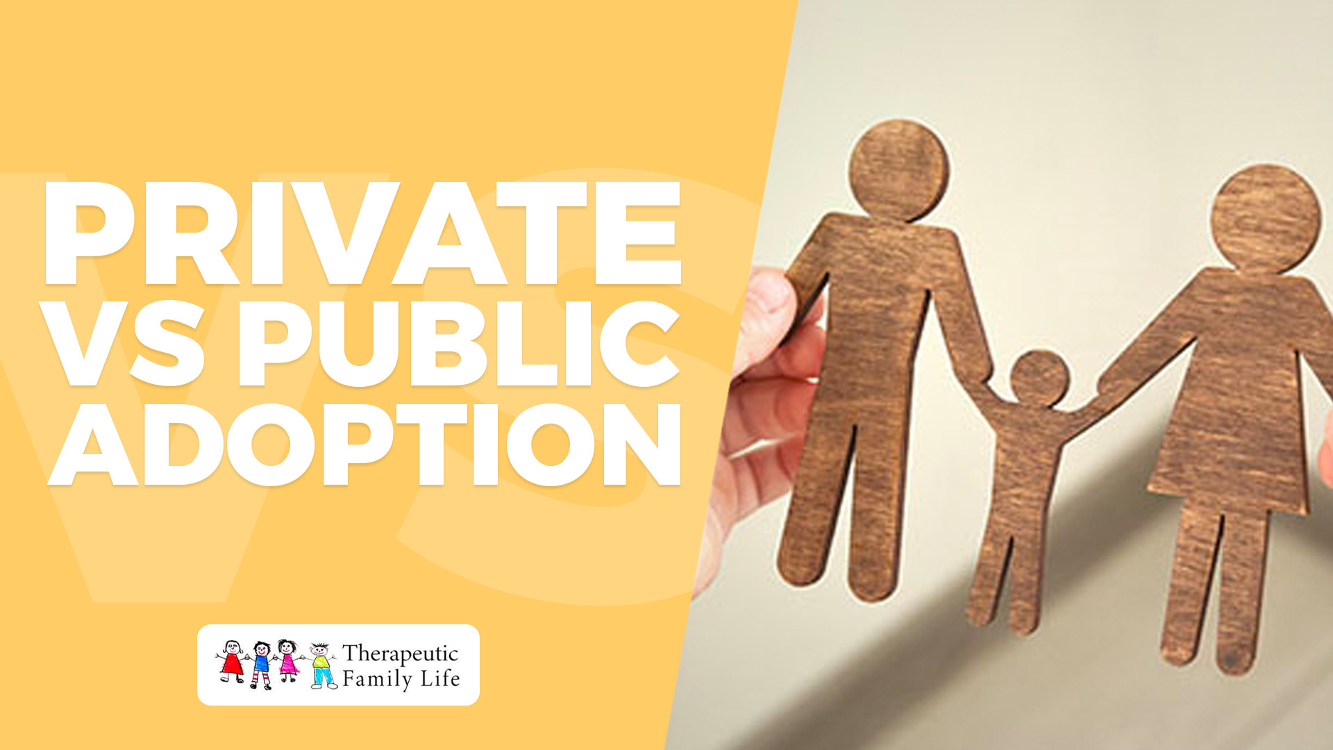 private vs public adoption